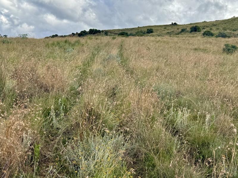 0 Bedroom Property for Sale in Fouriesburg Free State